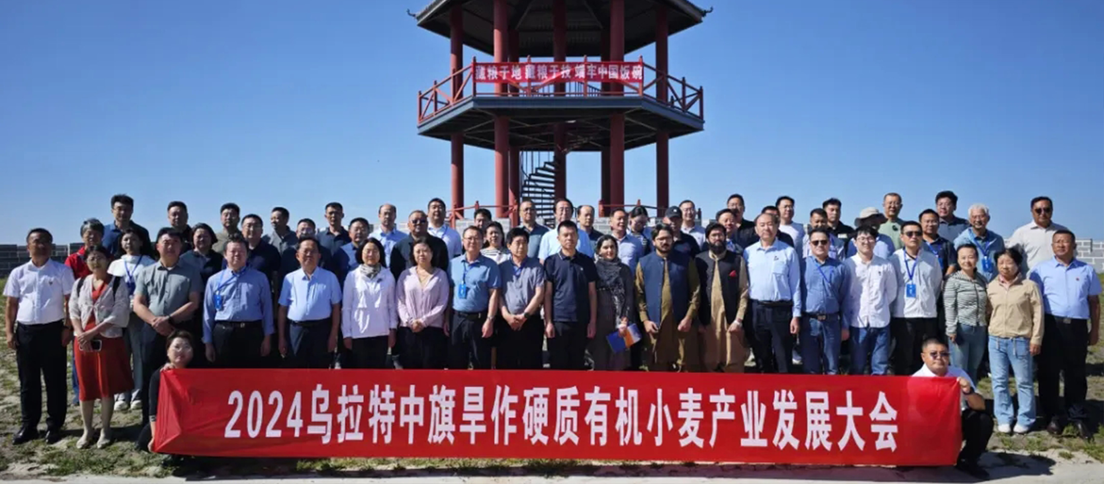 三松兄弟應邀參加烏拉特中旗旱作硬質有機小麥產業發展大會并為其獻策！